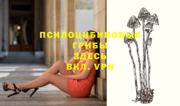 стафф Белоозёрский